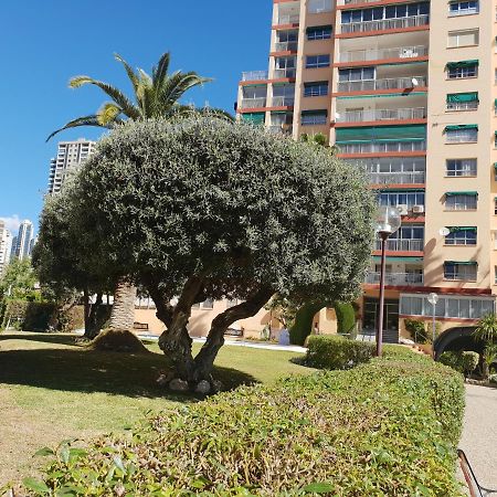 Апартаменты En El Cielo De Benidorm - Alteanos V Экстерьер фото